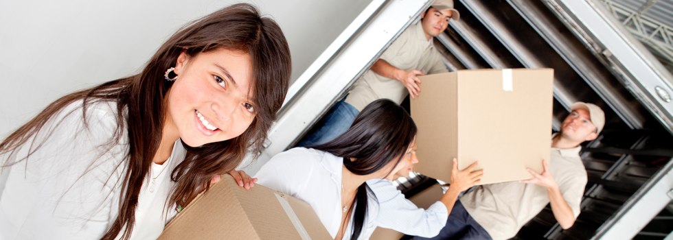 Professional Removalists Lansvale
